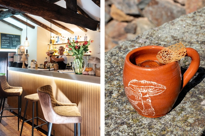 Bruno Batista cria o Amanitas, um cocktail de Martini branco e boletos