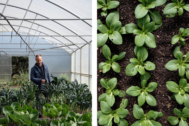 A horta pratica agricultura biológica