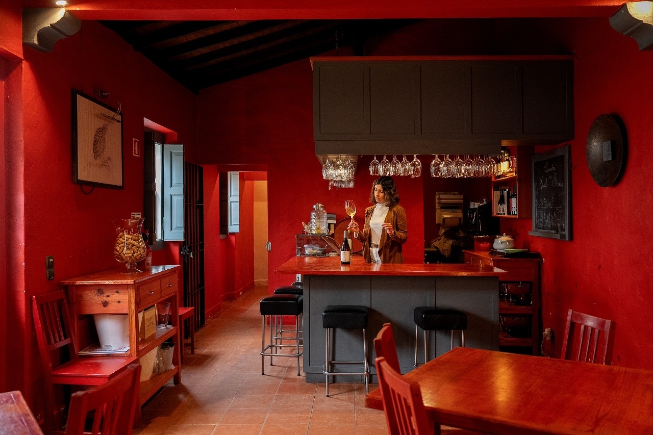 Rota dos Vinhos do Tejo: cinco produtores para descobrir