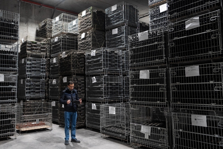 A quinta tem 100 hectares, 72 de vinha, com 22 castas, para “abranger mais mercado”, diz Jorge Ventura, enólogo residente