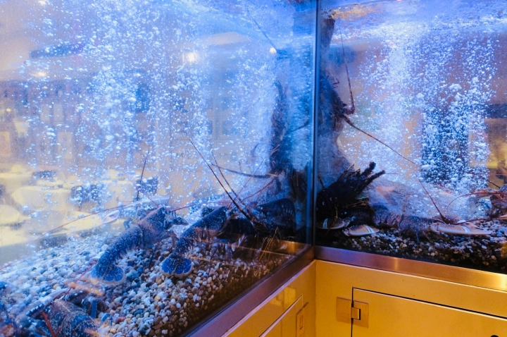  O Solar dos Presuntos é conhecido pela qualidade do marisco fresco