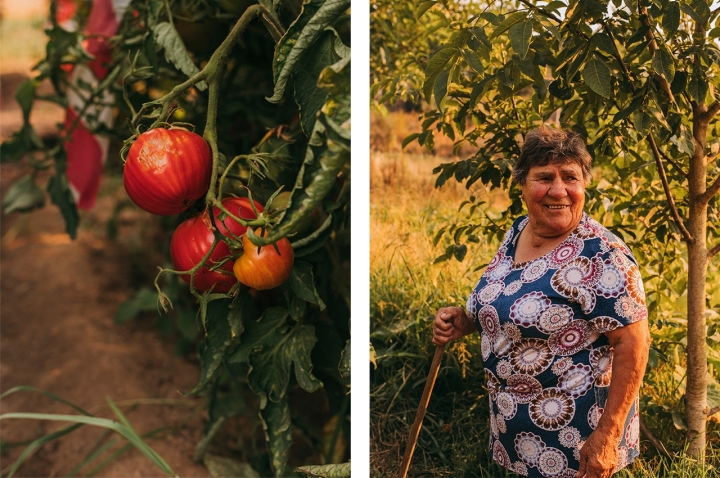 Zulmira Silva foi a vencedora do concurso Tomate Coração de Boi do Douro em 2023. Em 2024, a agricultora da localidade de Arroios, em Vila Real, ficou em segundo lugar