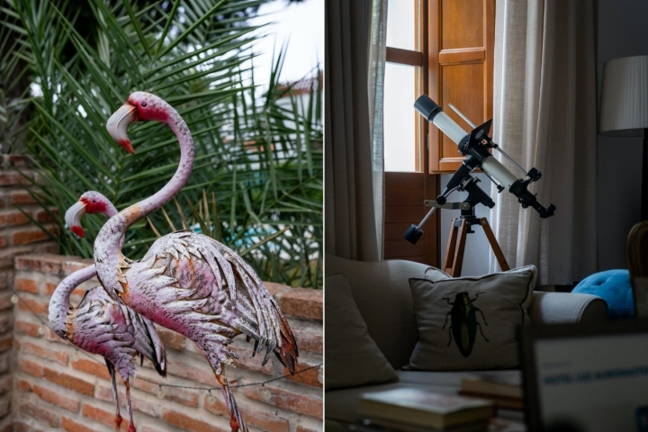 Vários detalhes da decoração do jardim e do interior do hotel