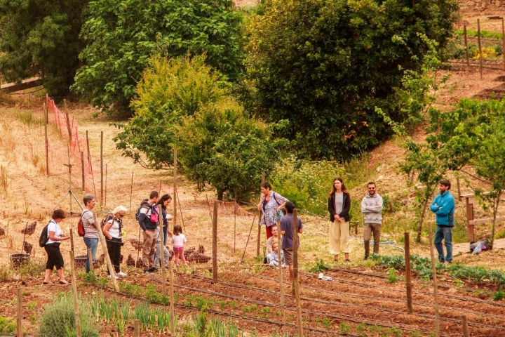 A Festa dos Maios, em Cascais