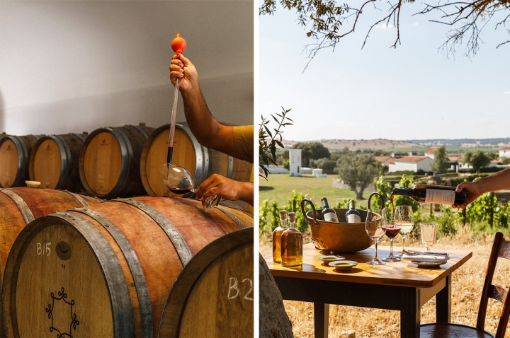 Pode experimentar ser enólogo durante algumas horas no São Loureço do Barrocal, em Monsaraz