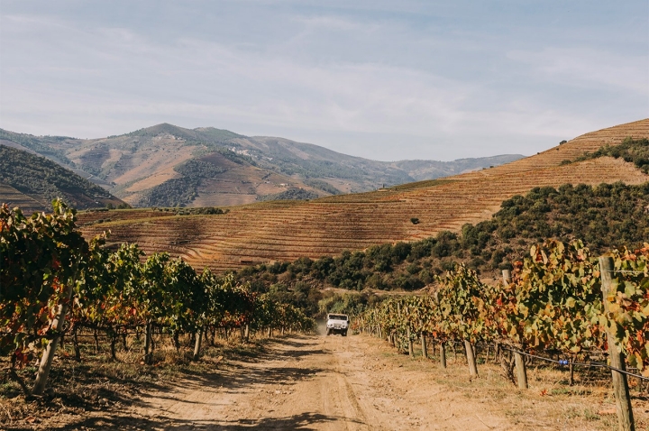O passeio de jipe pela propriedade é uma das atividades disponibilizadas pela Quinta do Ventozelo 
