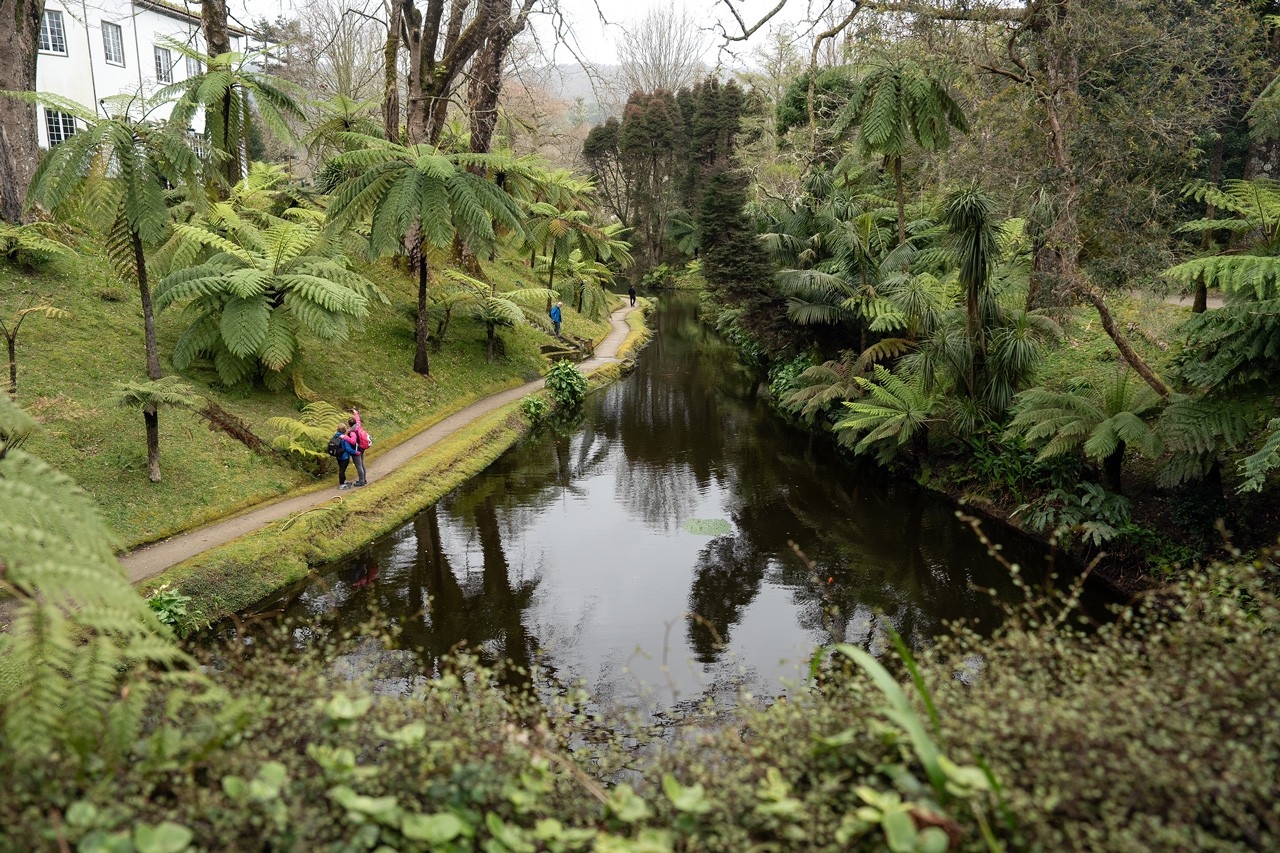 Parque Terra Nostra, Furnas 