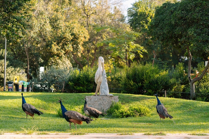 O The Modernist é uma relíquia da arquitectura modernista dos anos 70