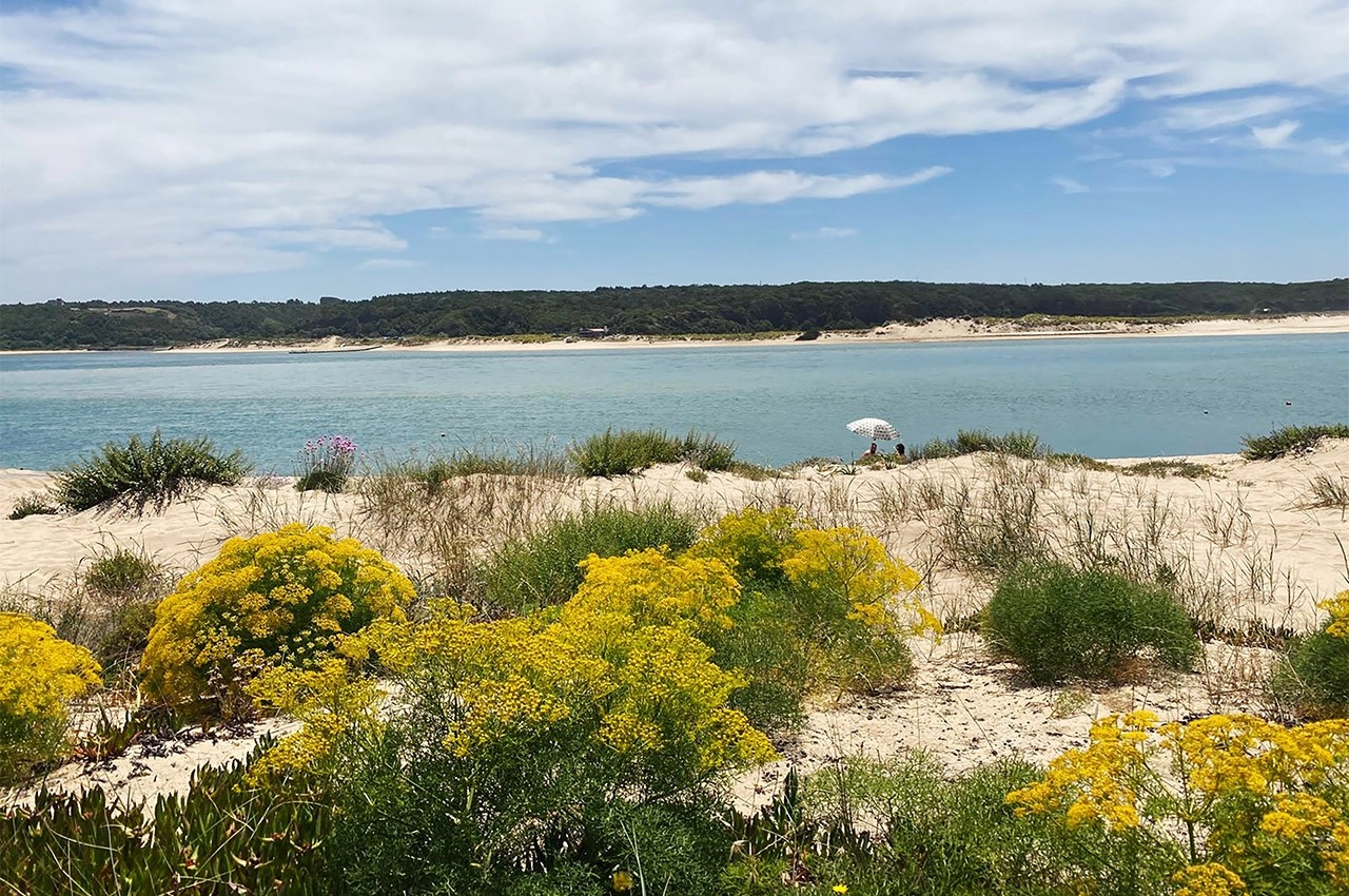 As dez melhores maneiras de aproveitar a Costa Vicentina