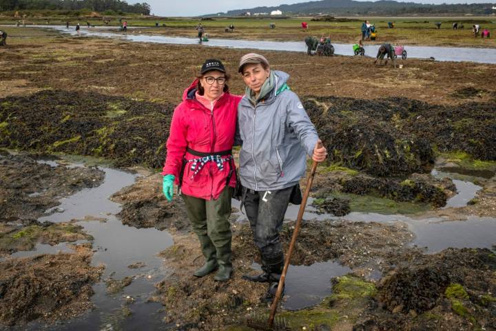 Mariscadoras Amas da Terra compañeras