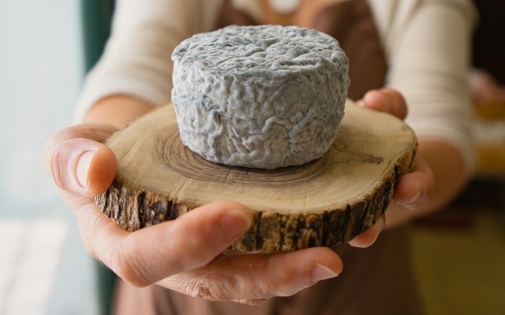 Quesería Jarropa y Sita queso