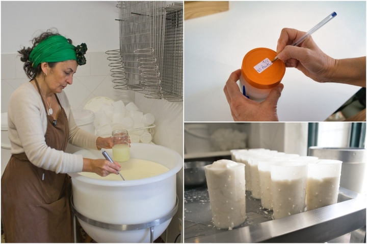 Quesería Jarropa y Sita mosaico