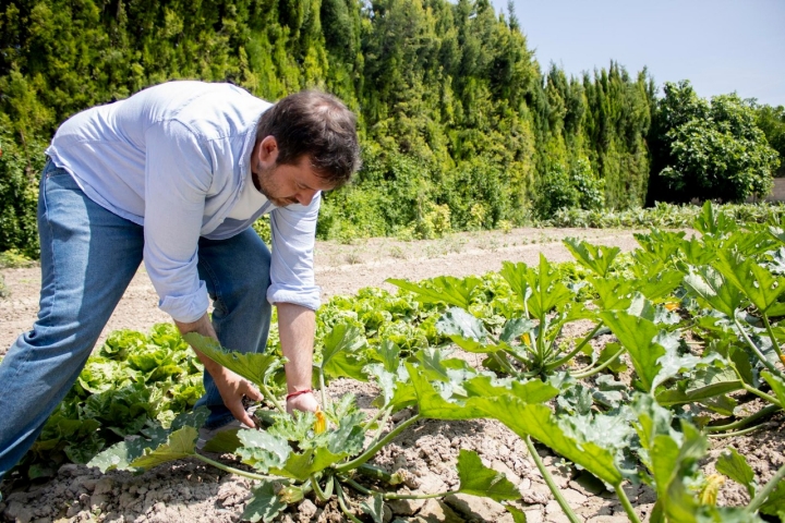 Choko Remigio Tudela huerta