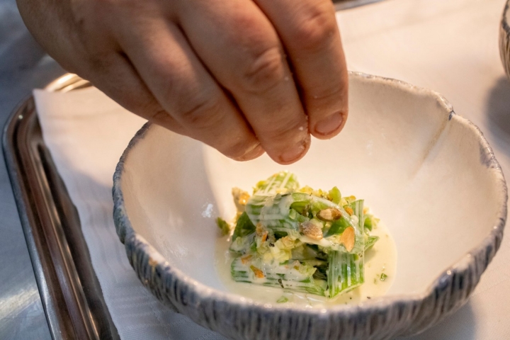 Choko Remigio Tudela tallo calabacín