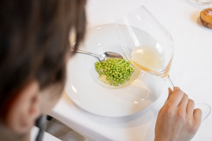 Choko Remigio Tudela guisante