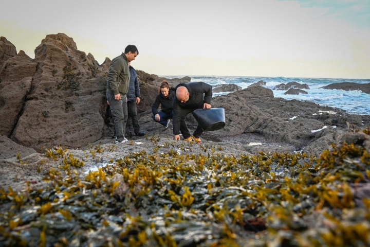 Recogida de productos marinos locales en A Coruña