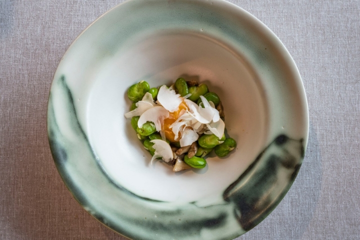 Habitas salteadas con yema de huevo confitada y perrechicos.