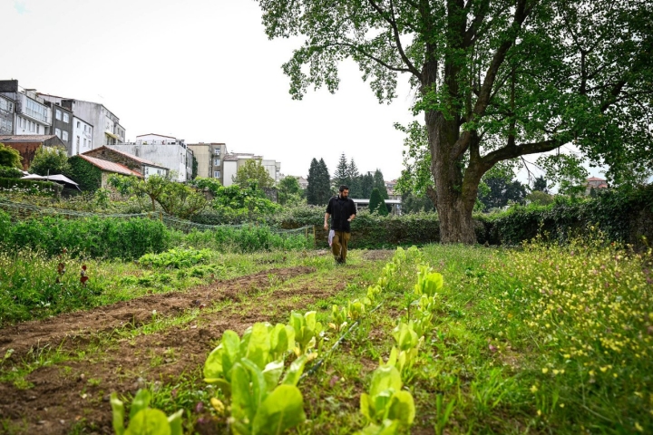 Restaurante A Cantina huerto