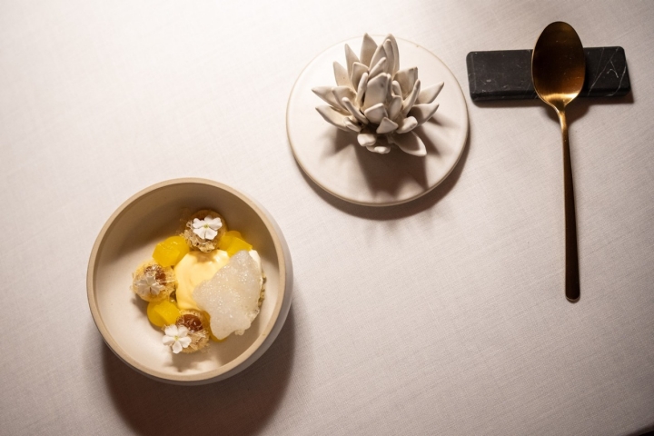 Can Simoneta raspado de mango