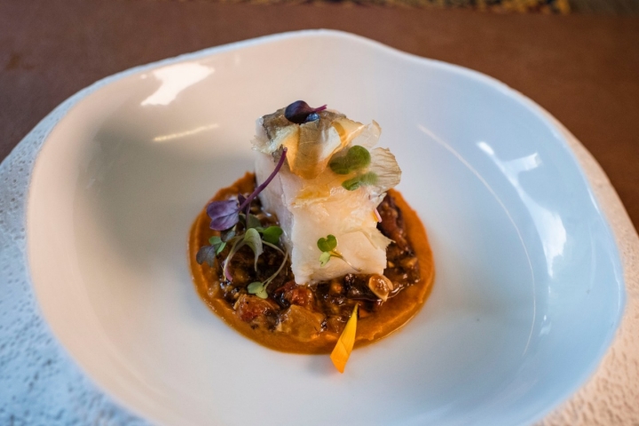 Bacalao-Mar y Montaña: Con una cama de oreja, setas, morro y esencia de Ecuador romescu de cacahuetes.