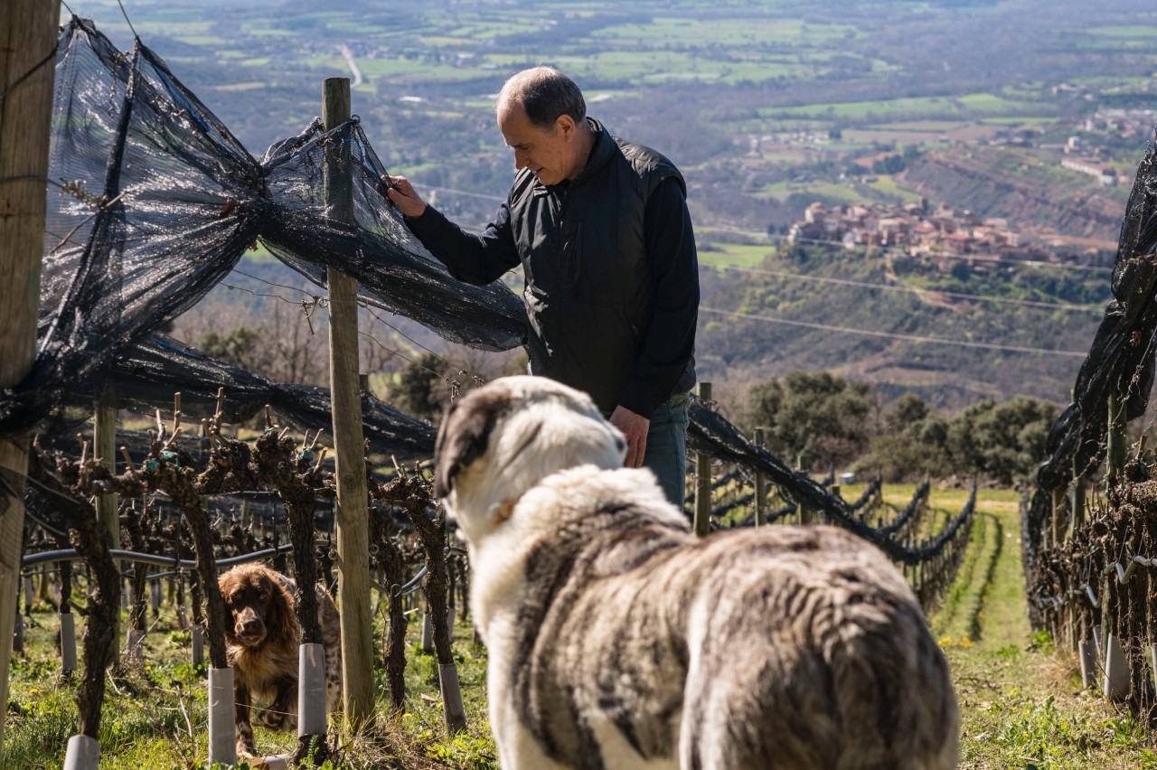 Raül Bobet, propietario de la bodega Castell d'Encús, Pallars Jussá de Lleida.
