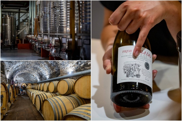 Cellers de Scala Dei barricas