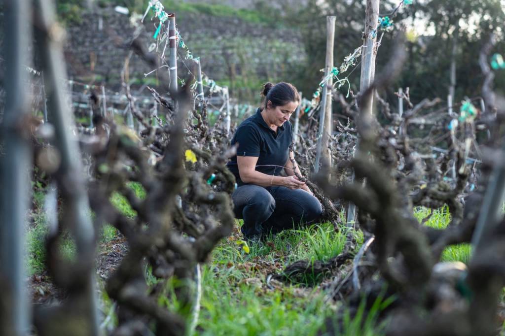 La joven bodeguera que embotella tradición familiar