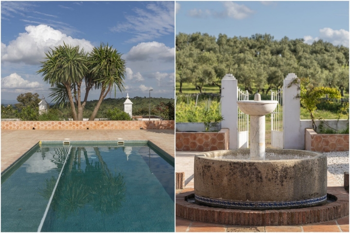 Acepados mosaico piscina