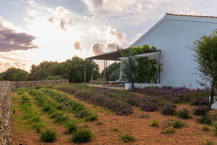 Finca Torralbenc aromáticas