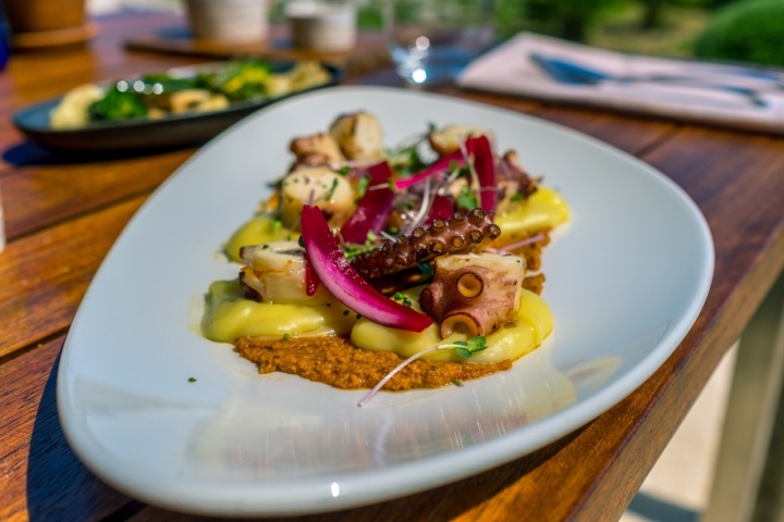 Finca Torralbenc pulpo