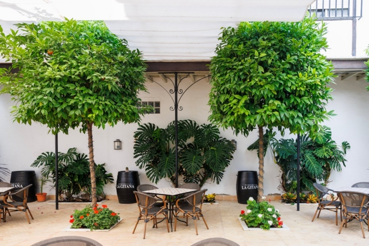 Patio interior del hotel Albariza (Sanlúcar de Barrameda)