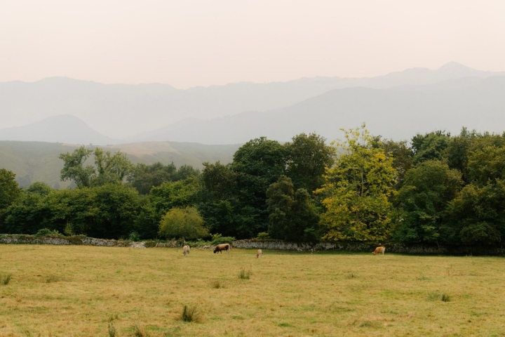 Indiana Hotel ganado