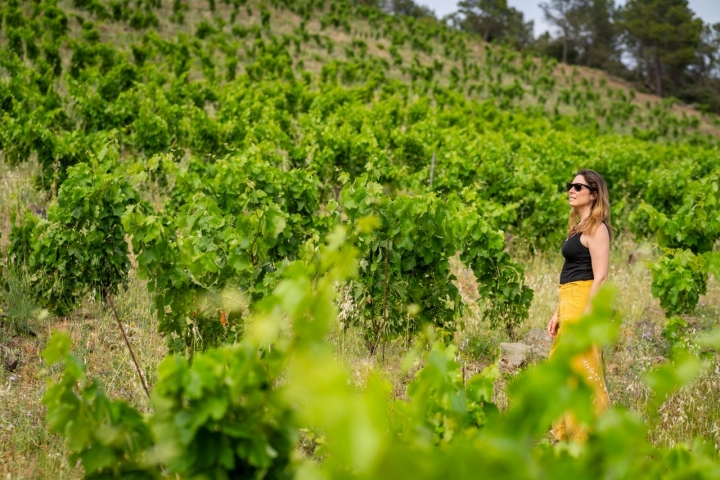 Es posible pasear entre los viñedos que rodean el hotel.