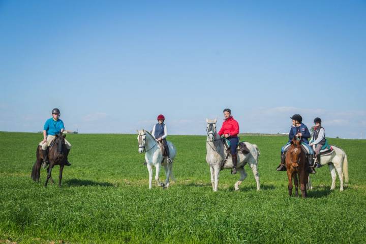 Álvaro y Blanquito; Claudia y Rociero; Diego y Rociero II; Diego Martínez hijo con Bandolero y Andrea sobre Quintanilla.