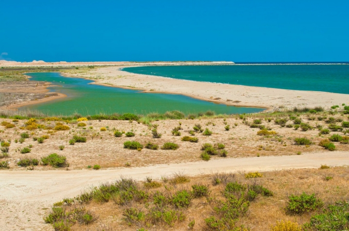 Alfred García delta Llobregat