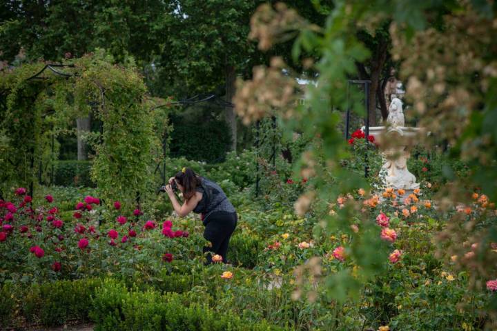 Rosaledas - Retiro
