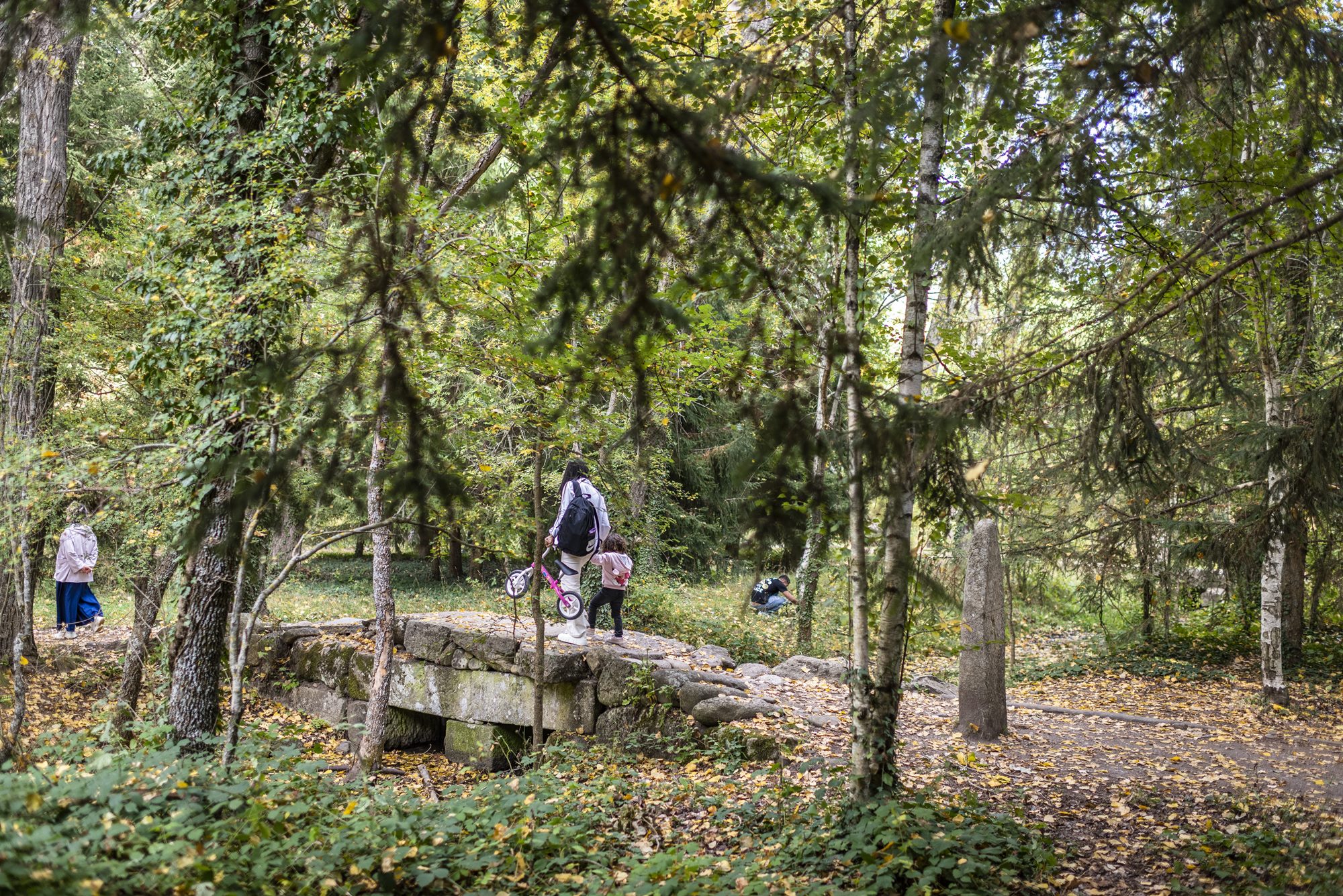 Bosque Finlandés Rascafría familia sobre puente