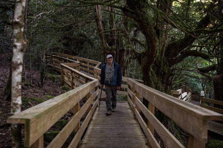 Pasarela Bosque de Tejedelo