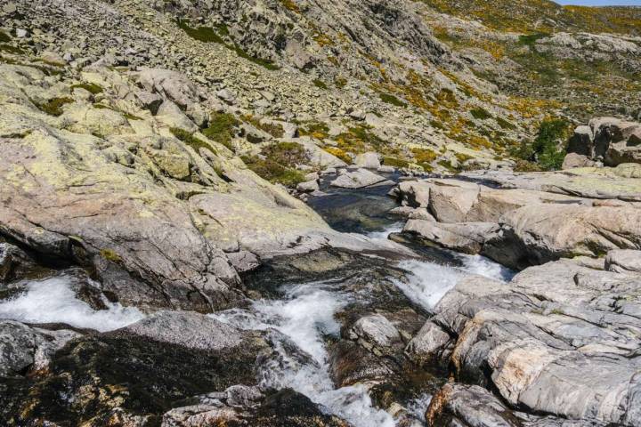 El agua corre con fuerza en la Garganta del Pinar que sirve de guía para la ruta.