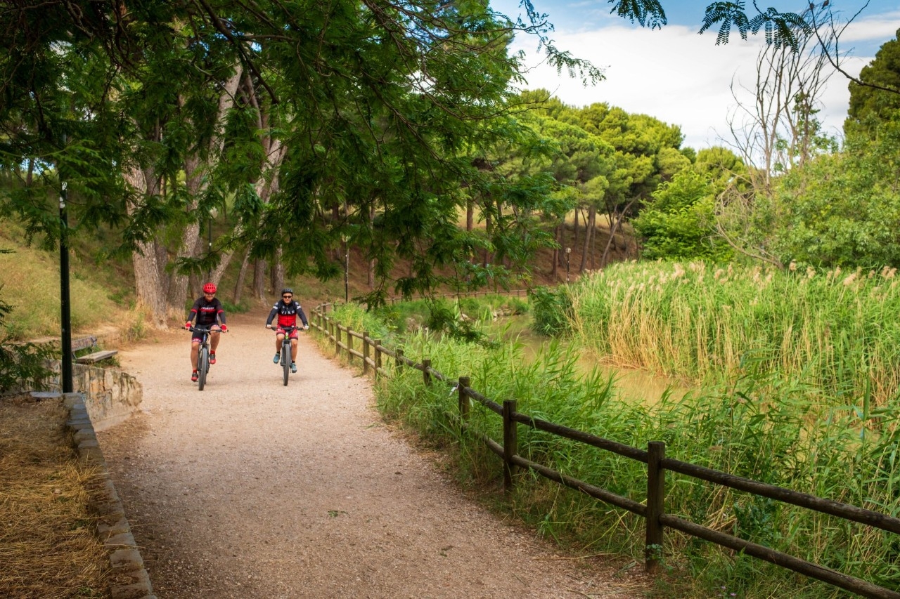 l Canal Imperial de Aragón es una arteria verde dentro de la ciudad.