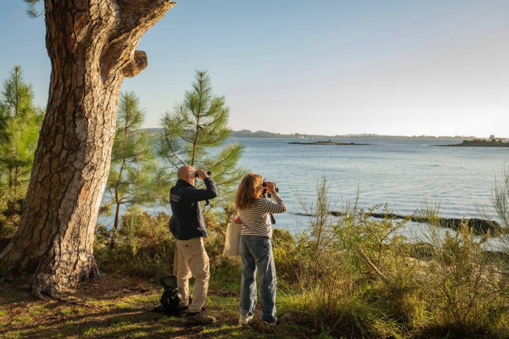 La isla encantada y desierta que mira al Atlántico