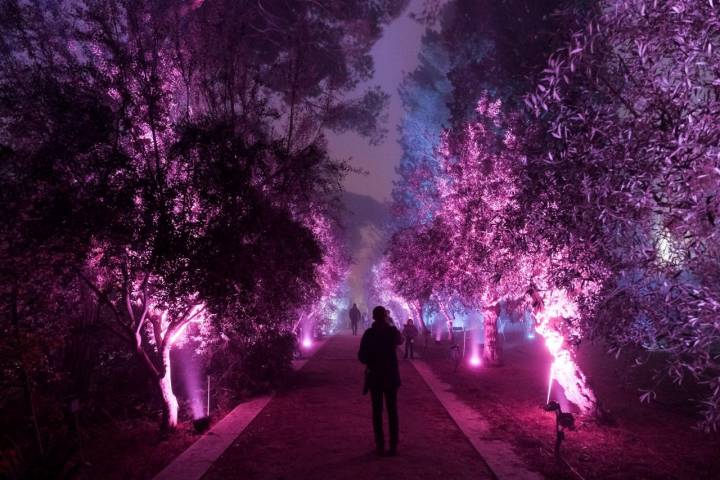 El tramos final de la exposición Naturaleza Encendida de las luces de Navidad del Jardín Botánico