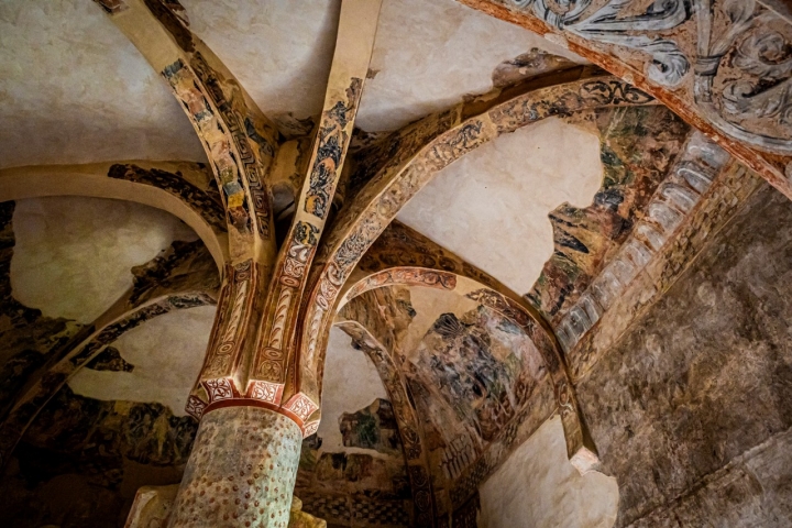 La palmera más famosa de Soria, en detalle.