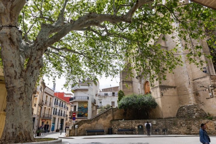 La Plaza Mayor a la sombra del Árbol de la Libertad es el centro de 'La Vila'.