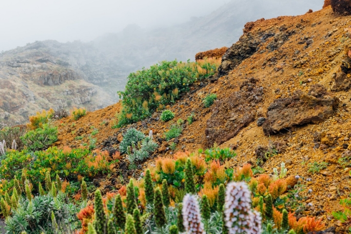 Paisajes que ejemplifican la exuberancia cromática. La isla del color