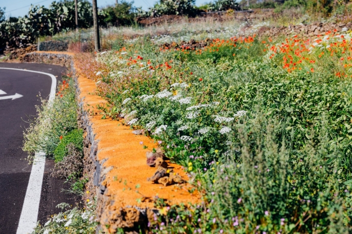 Actuaciones del proyecto Isla de Ferro en El Hierro.