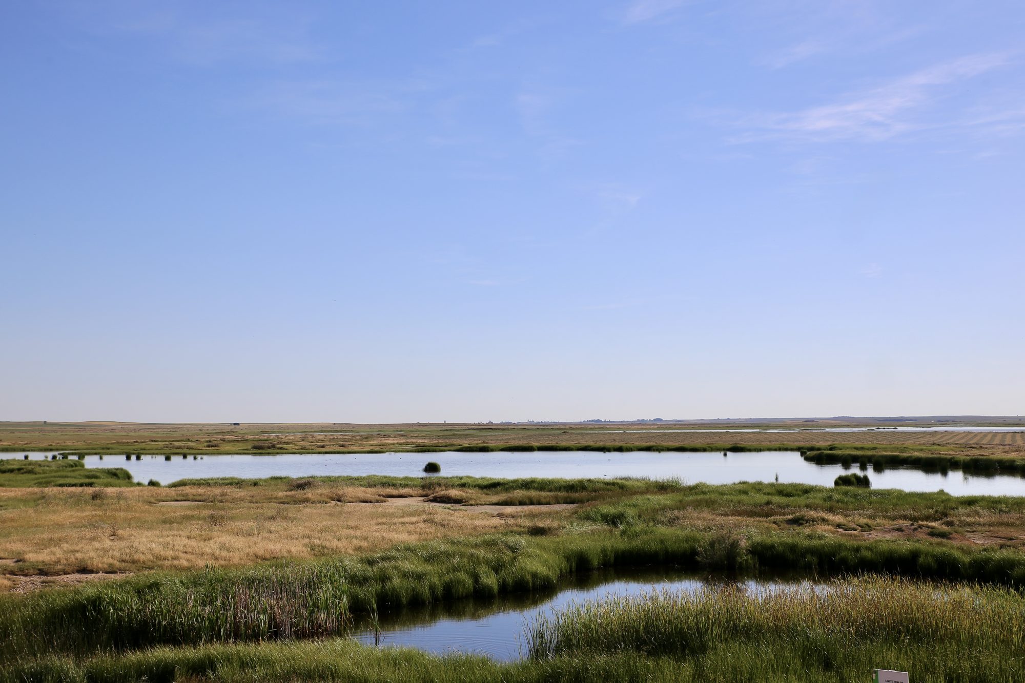 Ruta Lagunas Villafáfila lagunas