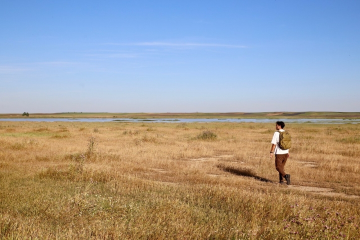Las estepas cerealistas son un ecosistema diverso.