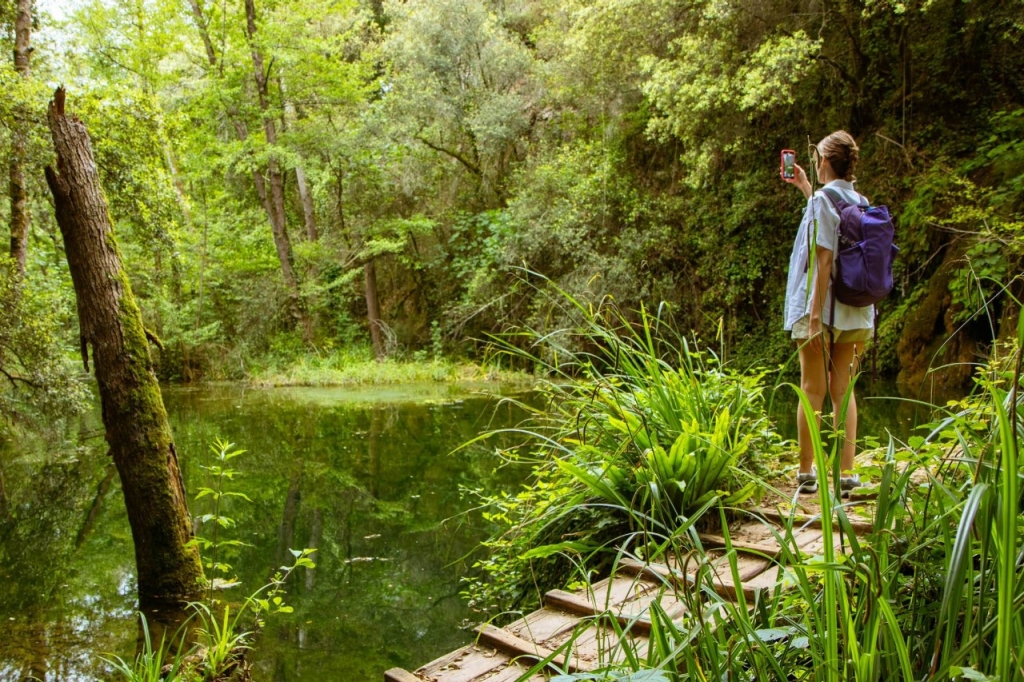 Rumores sobre una lava que se hizo selva