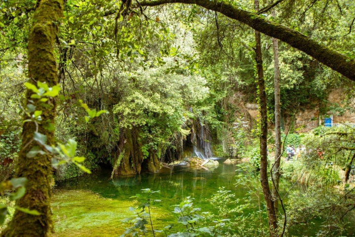 Ruta pozas del río Brugent (Girona) poza con vegetación